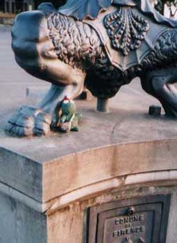 �t�B�����c�F3�g��